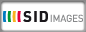 SID IMAGES